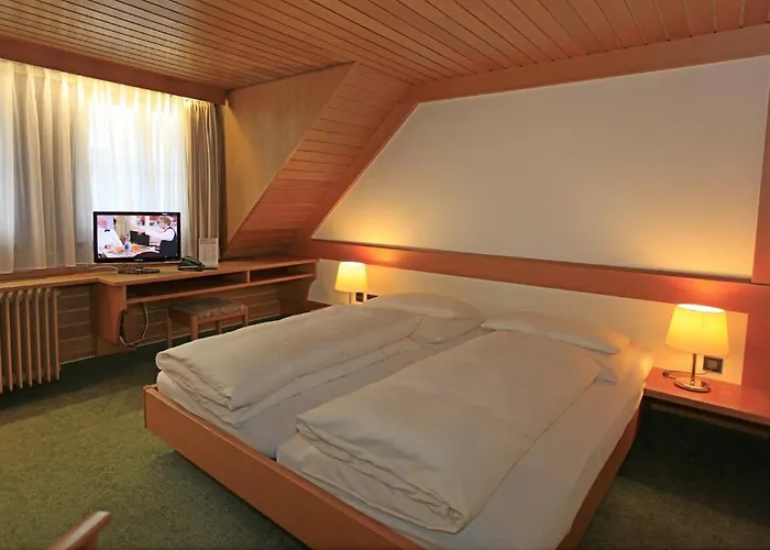 Waldshuter Hof Вальдсхут-Тинген